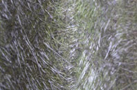 Croesor fibreglass roof work